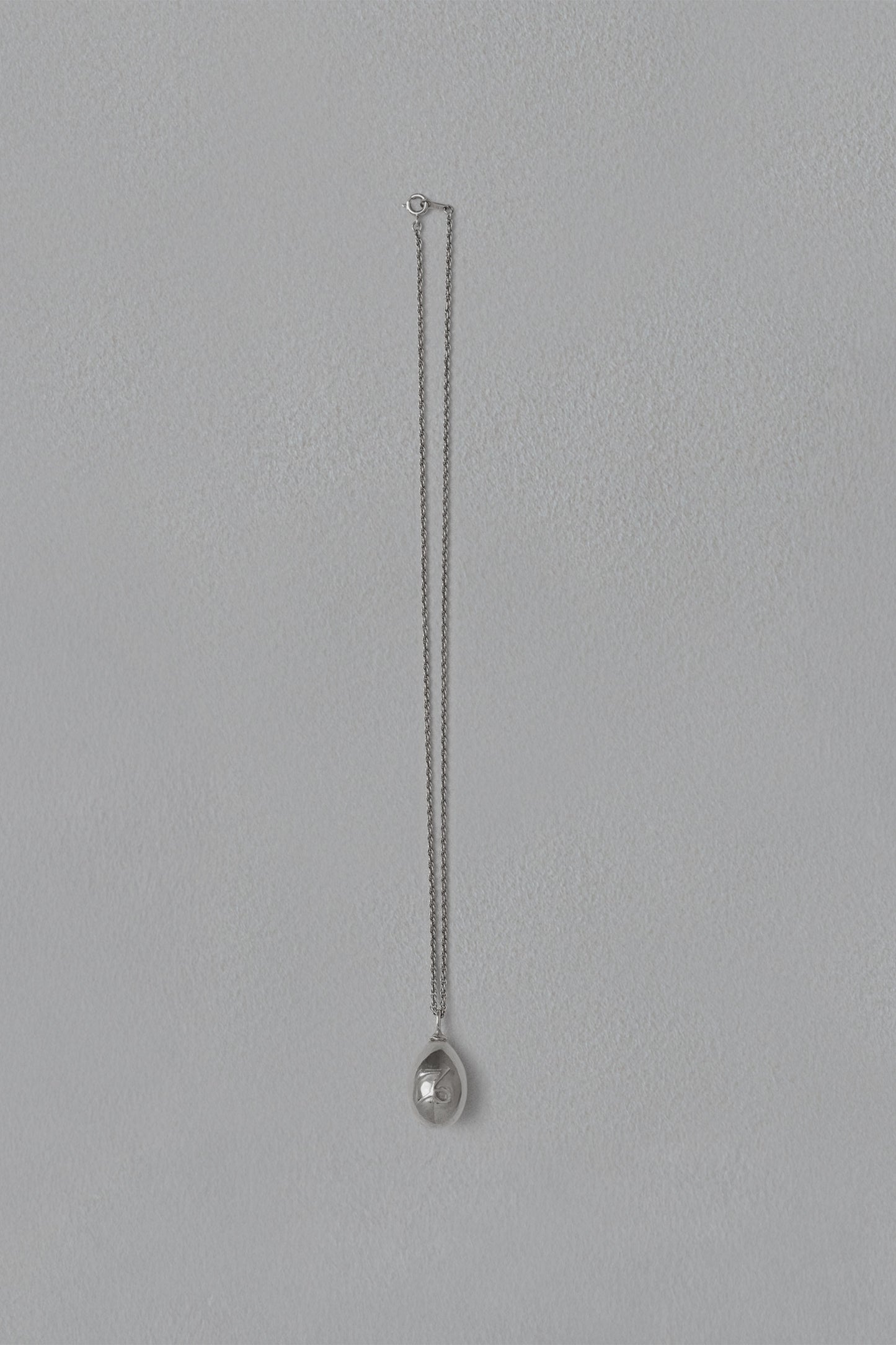 ASTROLOGY NECKLACE/山羊座