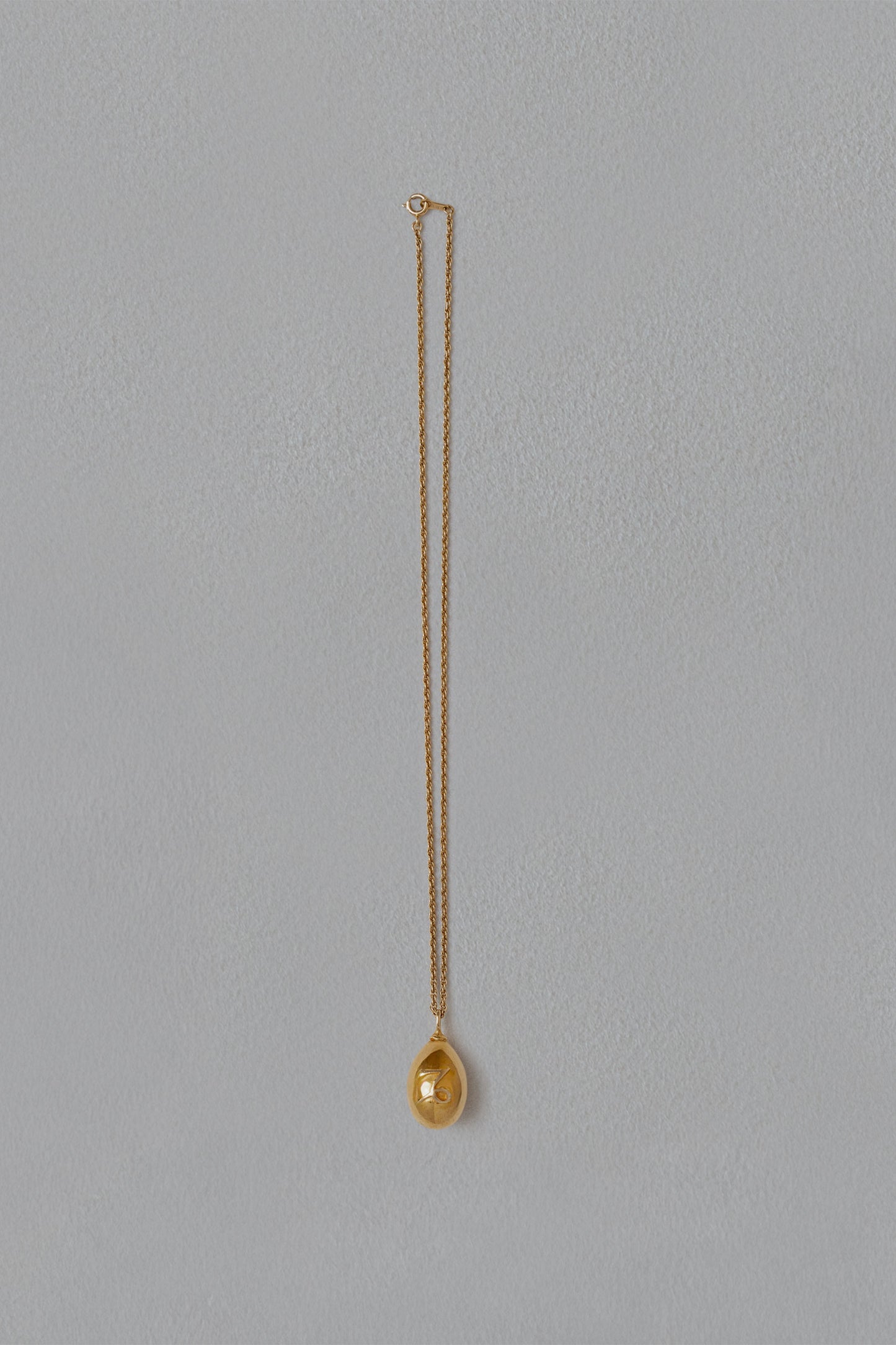 ASTROLOGY NECKLACE/山羊座