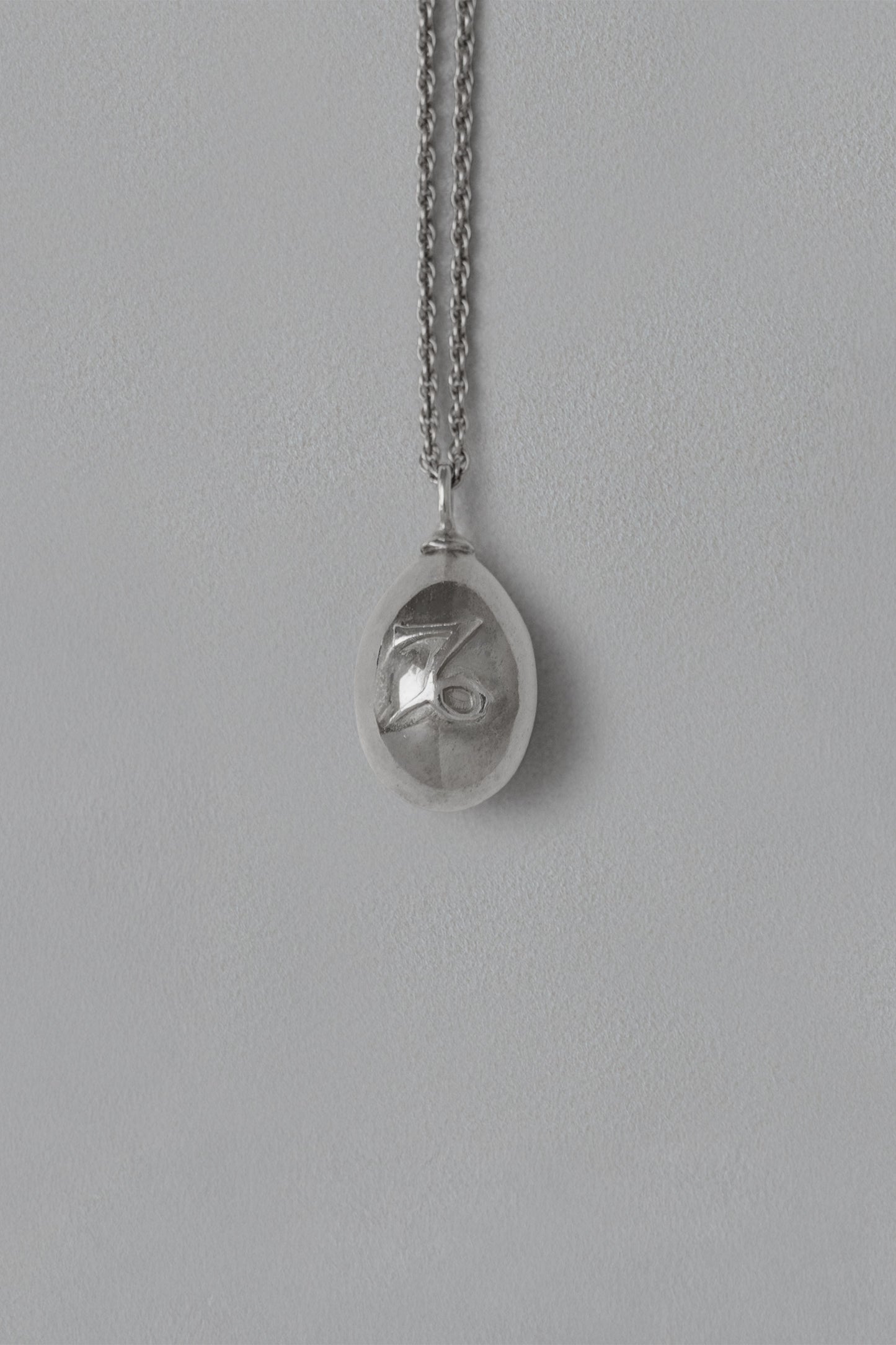 ASTROLOGY NECKLACE/山羊座