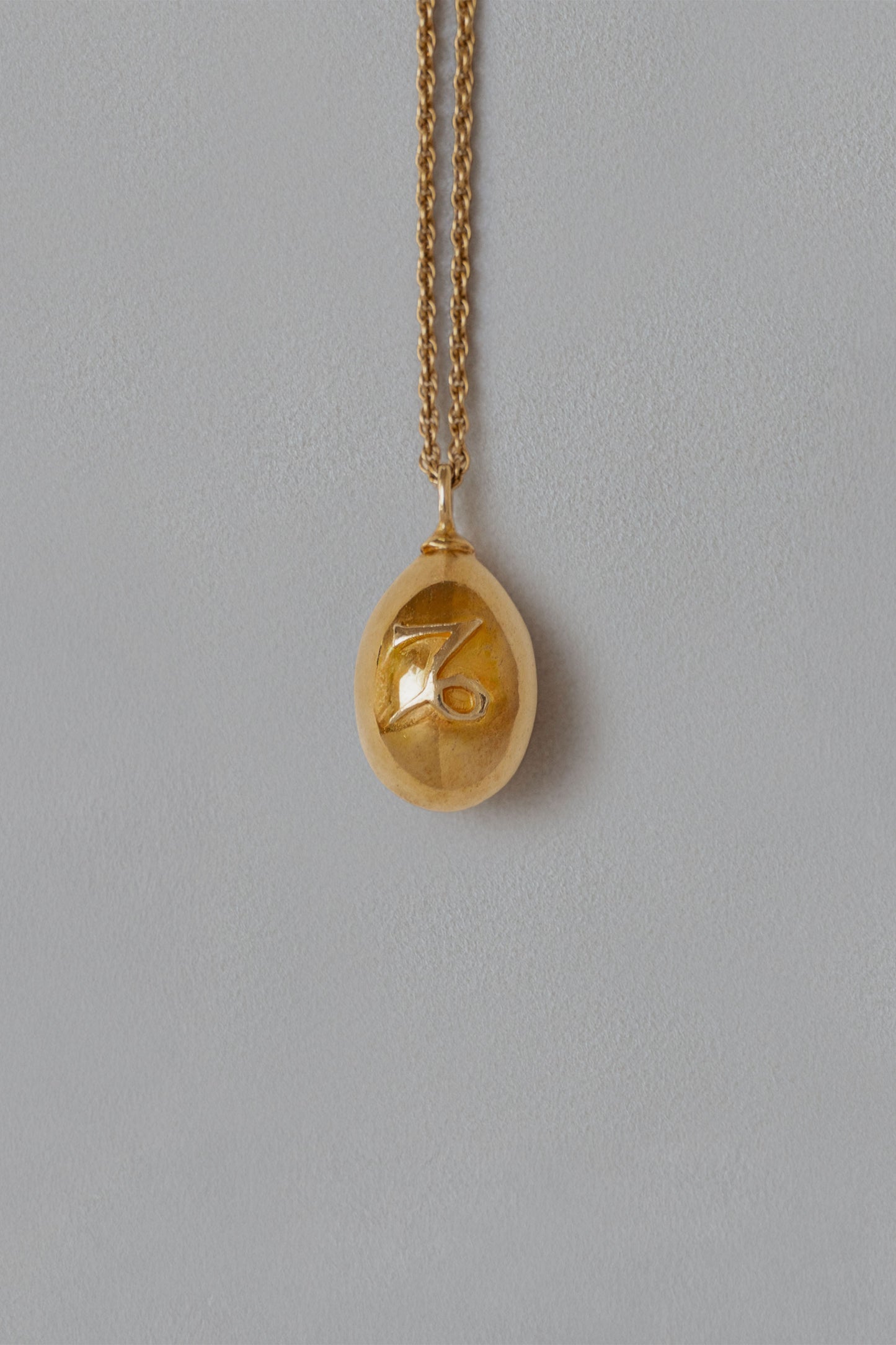 ASTROLOGY NECKLACE/山羊座