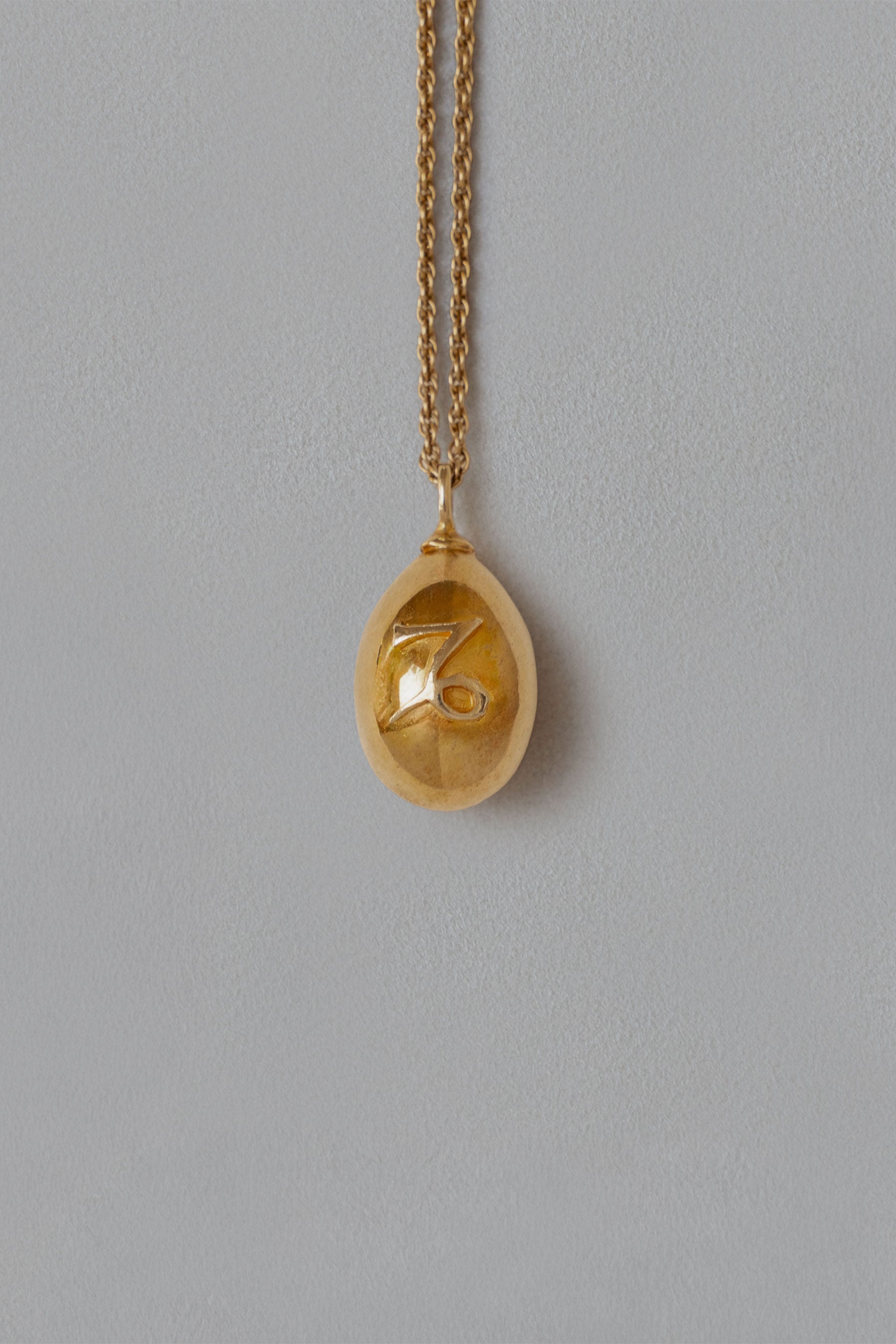 ASTROLOGY NECKLACE/山羊座