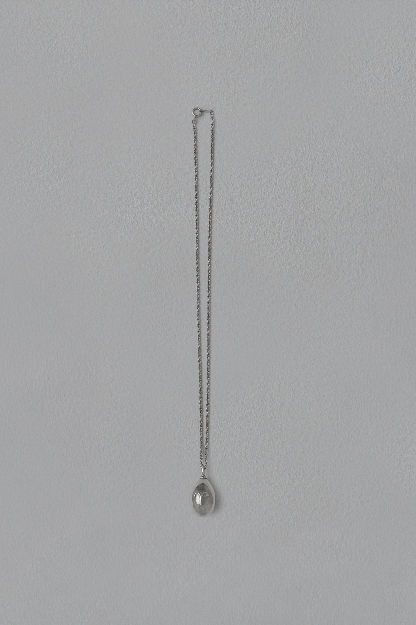 ASTROLOGY NECKLACE/牡羊座