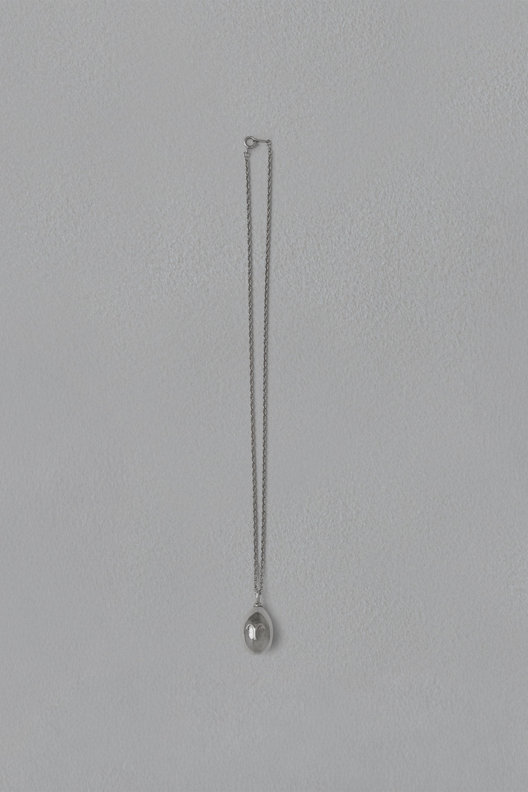 ASTROLOGY NECKLACE/牡羊座
