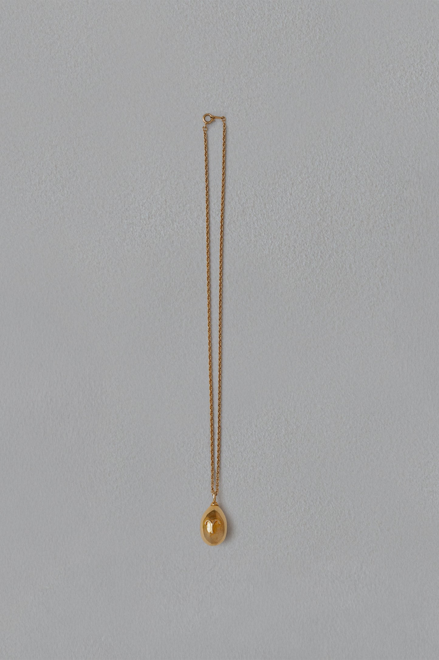 ASTROLOGY NECKLACE/牡羊座