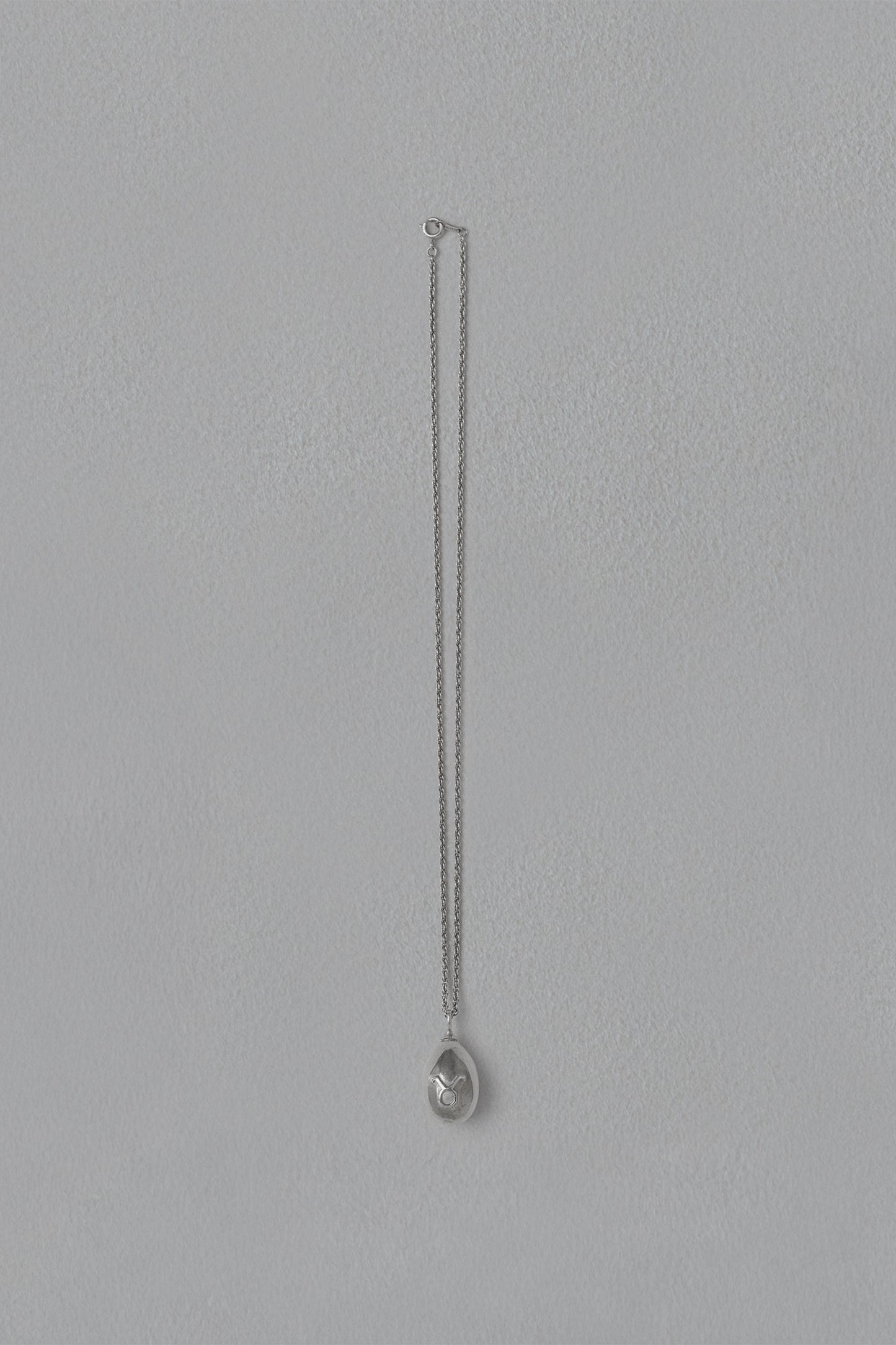 ASTROLOGY NECKLACE/牡牛座