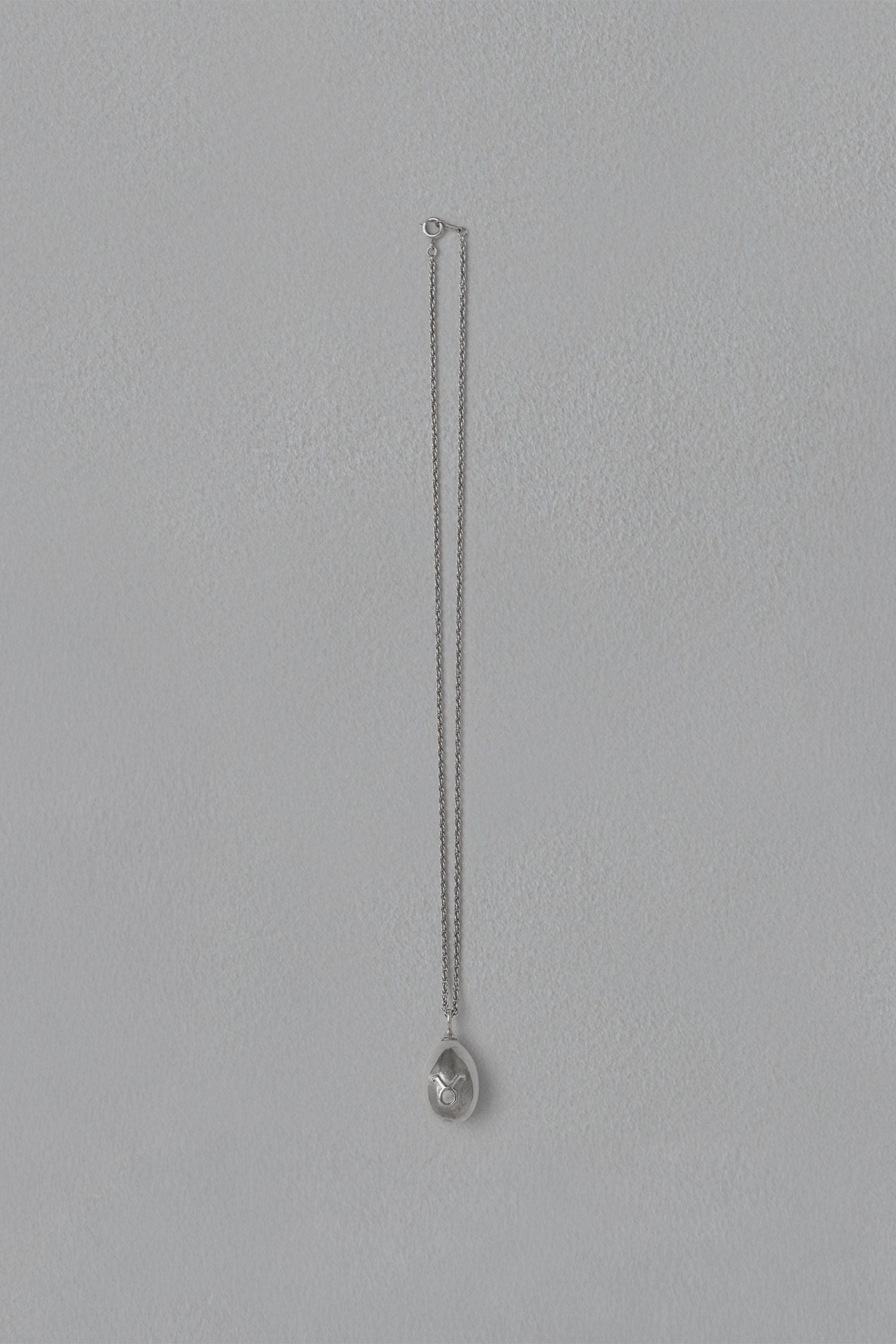 ASTROLOGY NECKLACE/牡牛座