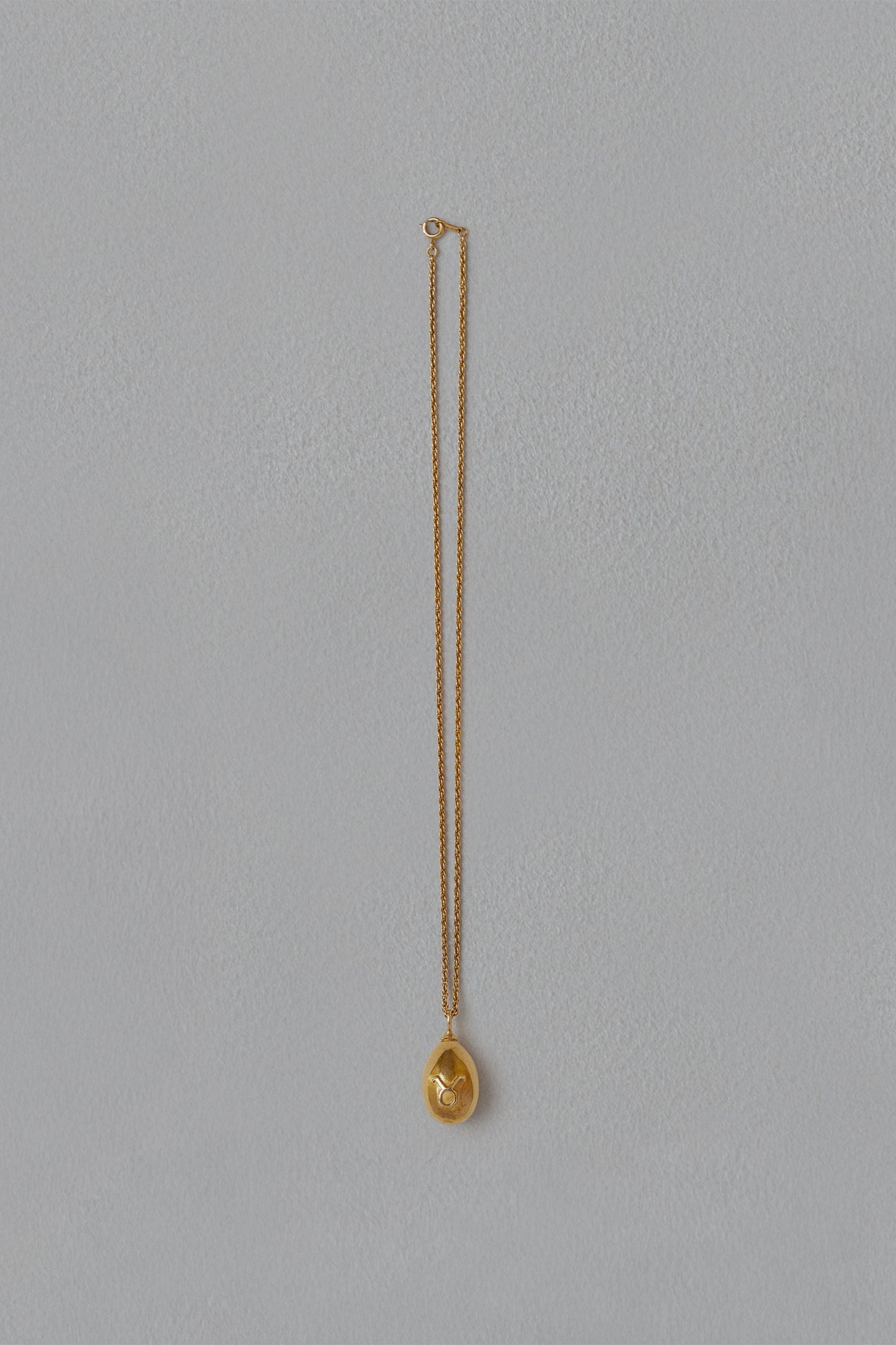 ASTROLOGY NECKLACE/牡牛座