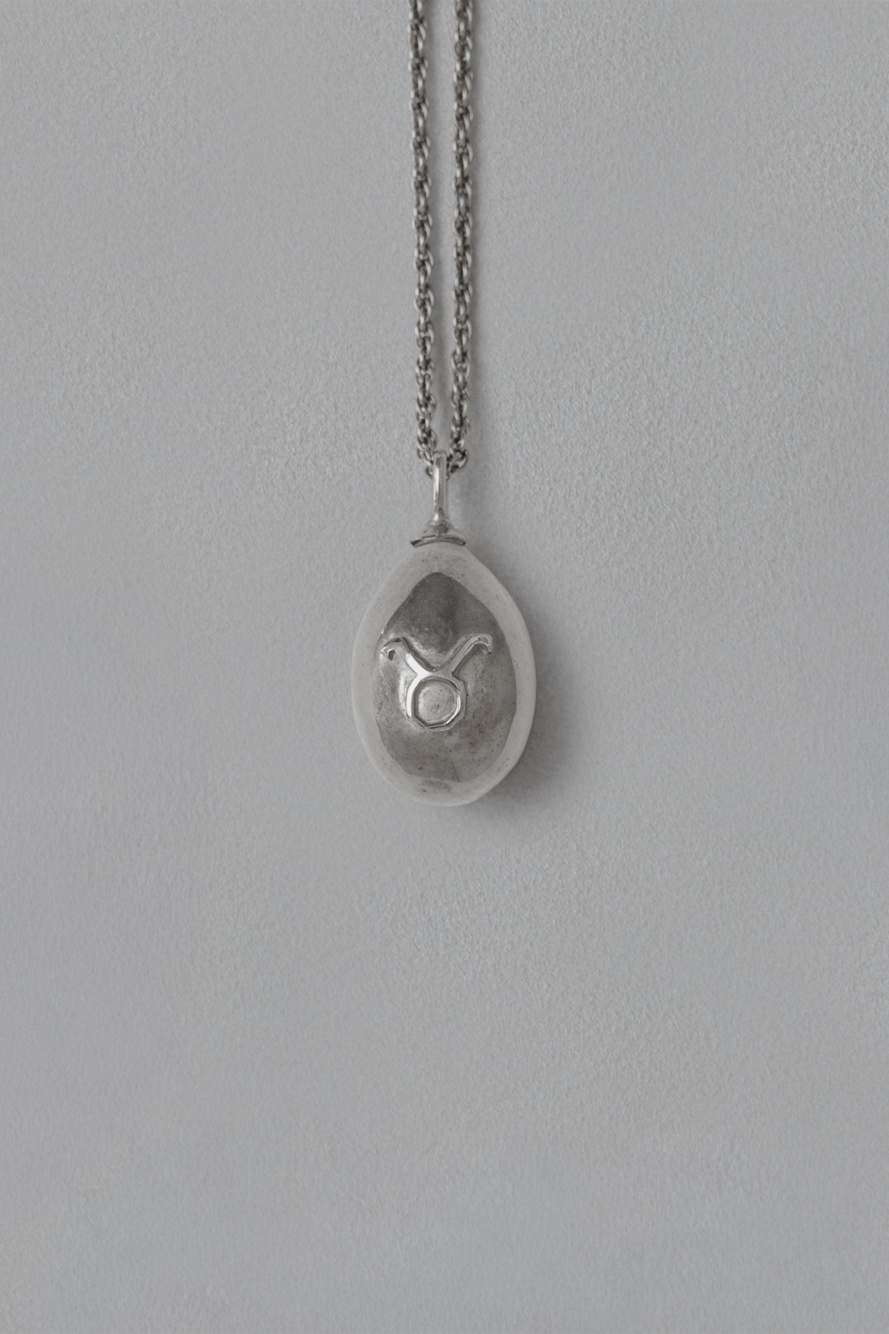 ASTROLOGY NECKLACE/牡牛座