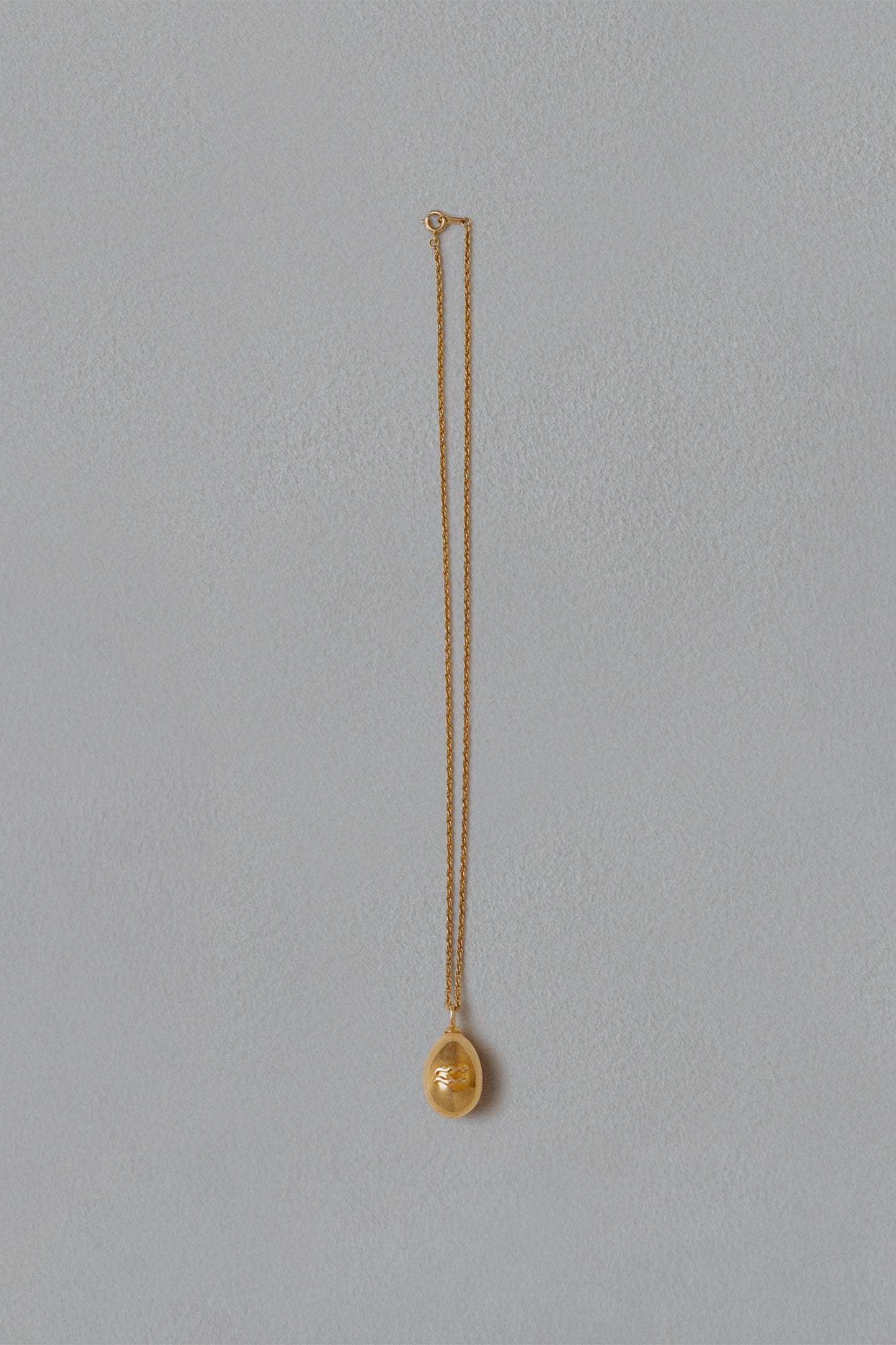 ASTROLOGY NECKLACE/水瓶座