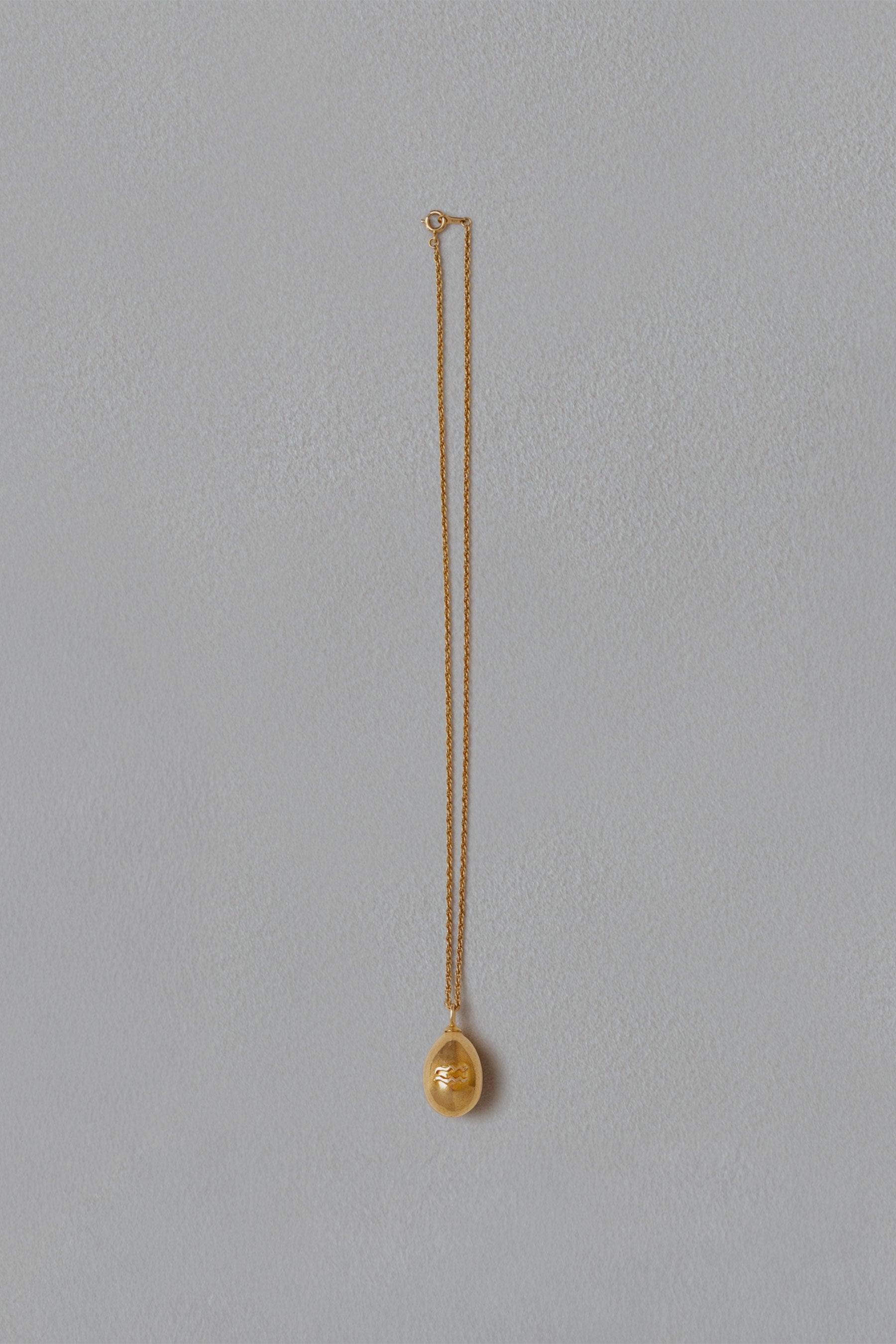 ASTROLOGY NECKLACE/水瓶座